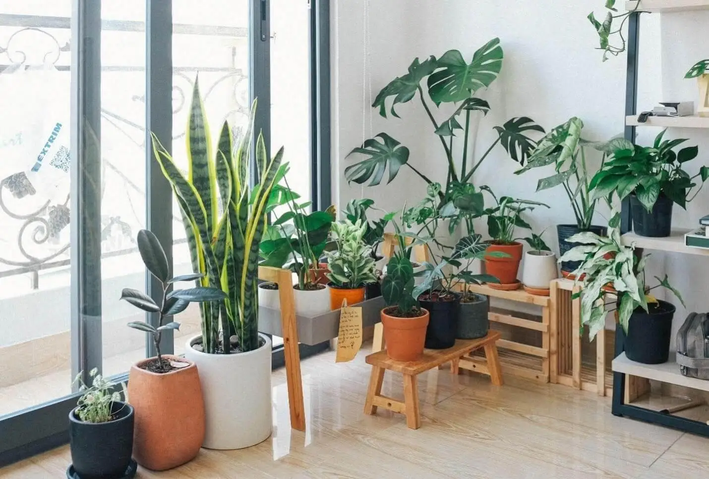 arrange your plants in clusters