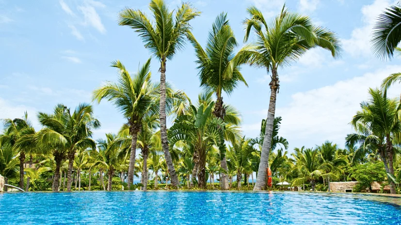 shade-with-tropical-plants