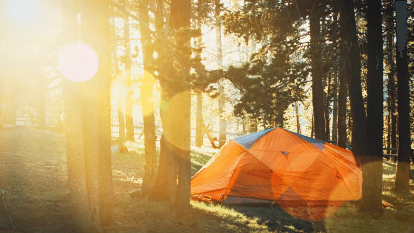 ultimate camp setting tips