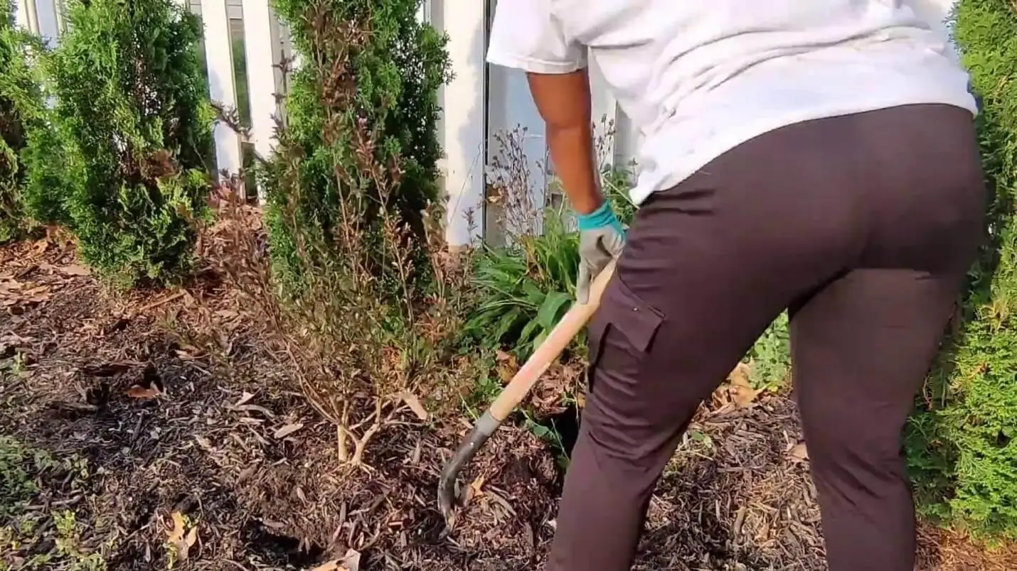 het verwijderen van bestaande graszoden en puin