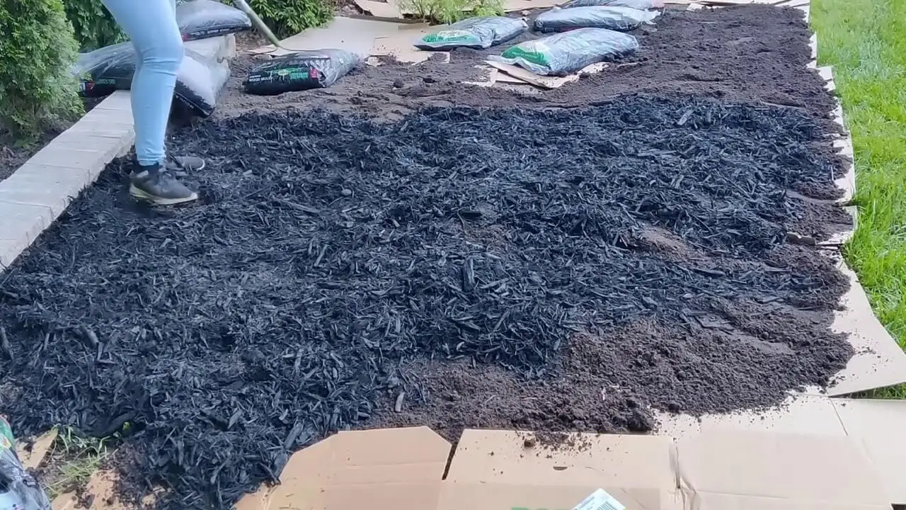 sheet-mulching