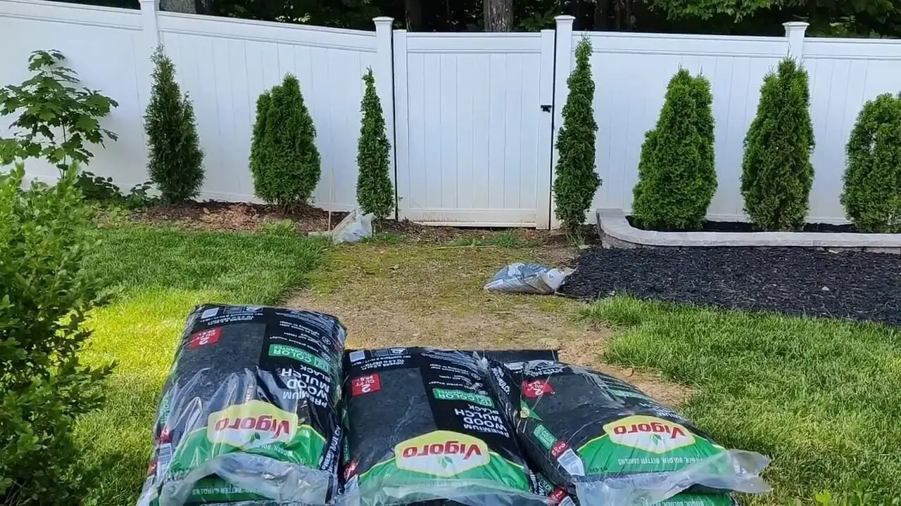 sheet-mulching-technique