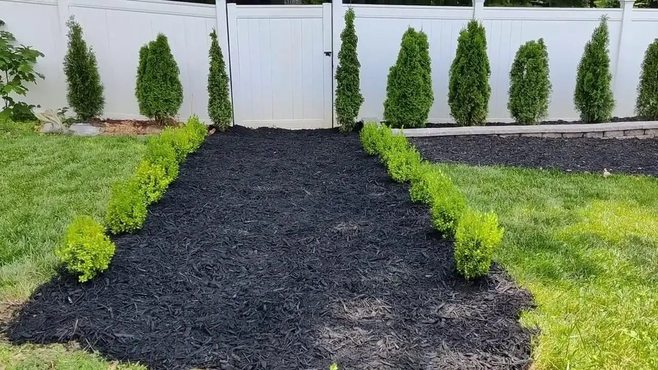 Zukunftspläne für die Gartengestaltung