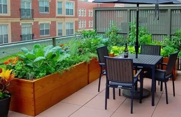 establish-raised-garden-beds