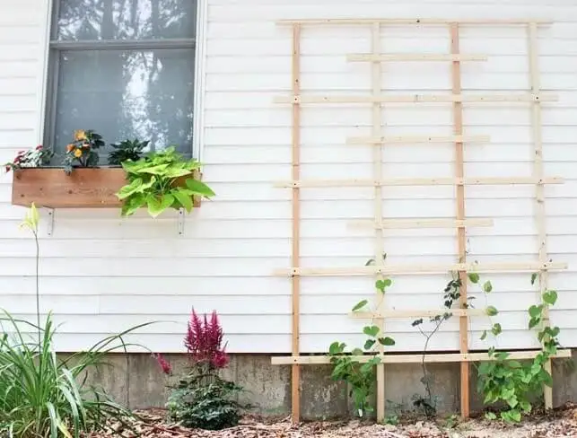 diy-trellis-or-arbor