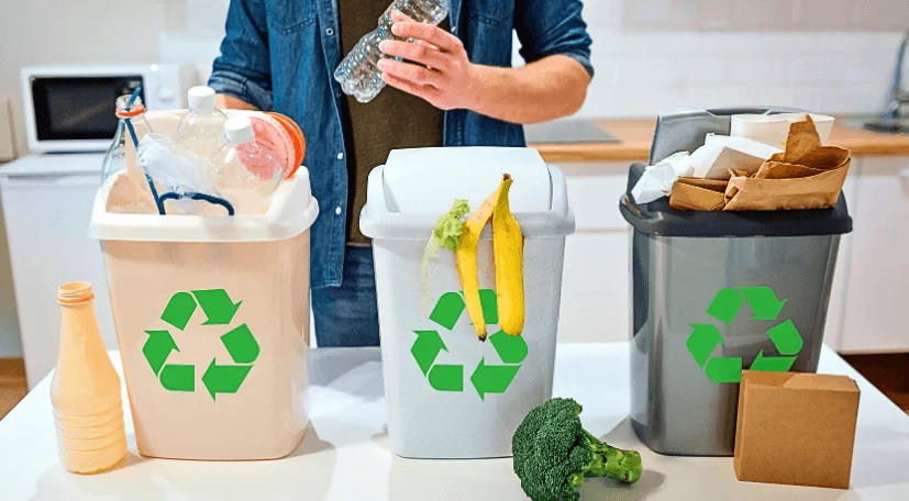 decluttering-and -sorting