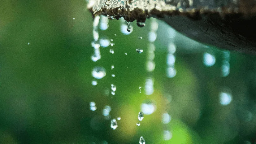 incorporating water features