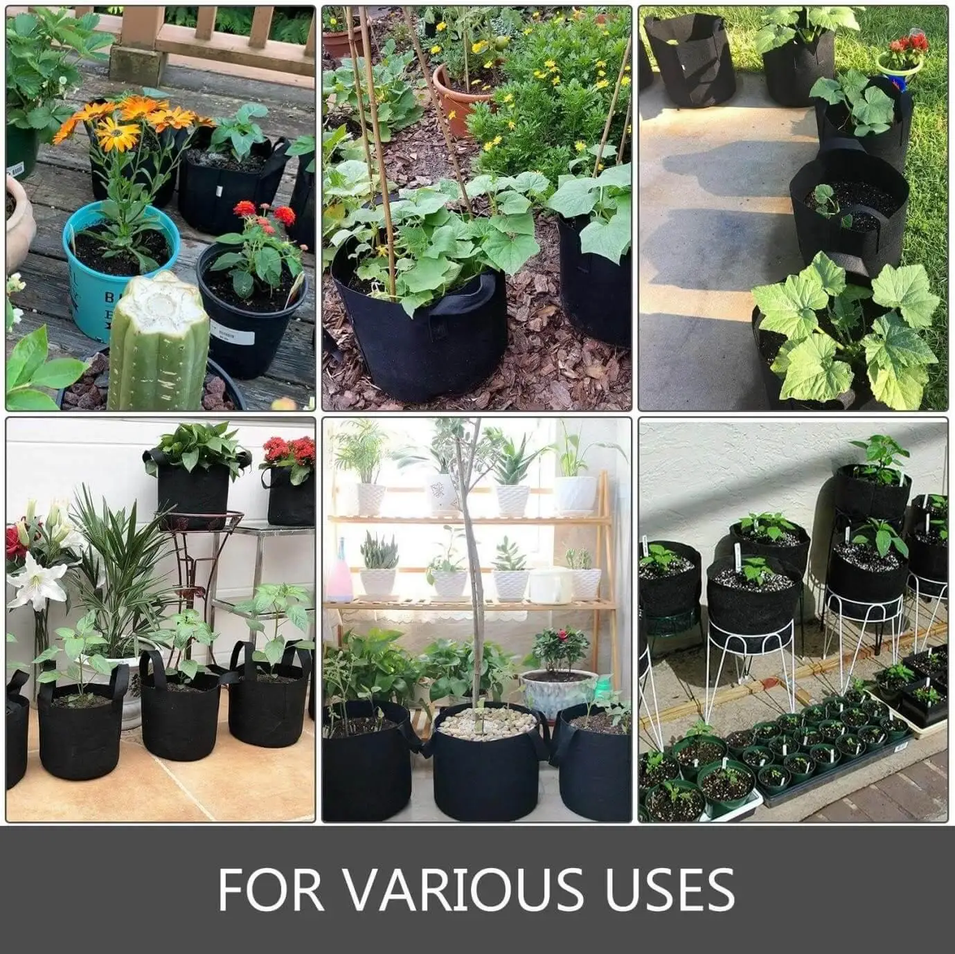 100-gallon-grow-bags-uses