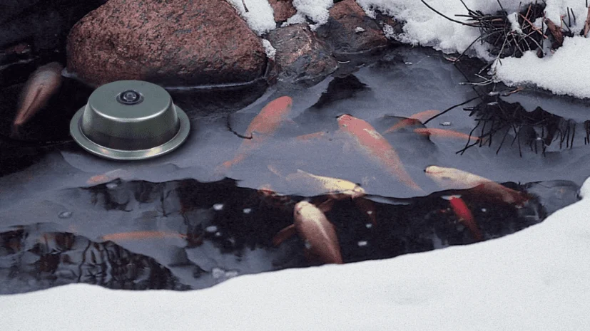 ad a fishpond heater or de-icer