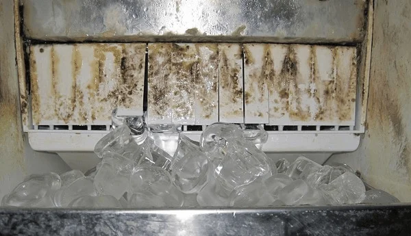 ice mold