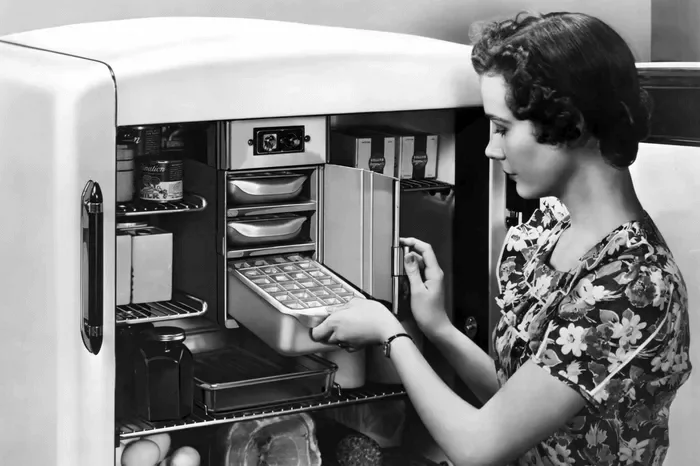 place-the-molds-or-trays-in-the-freezer