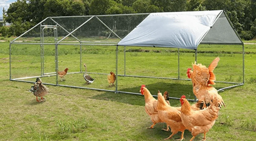 polar-aurora-metal-coop