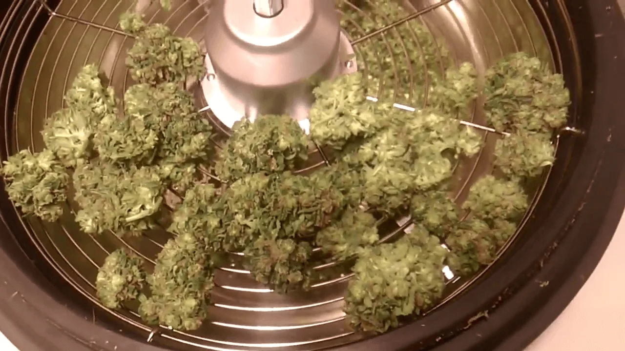 The Best Bud Leaf Trimmer Reviews and Buying Guide VEVOR Blog