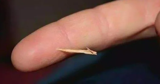 pricked hands