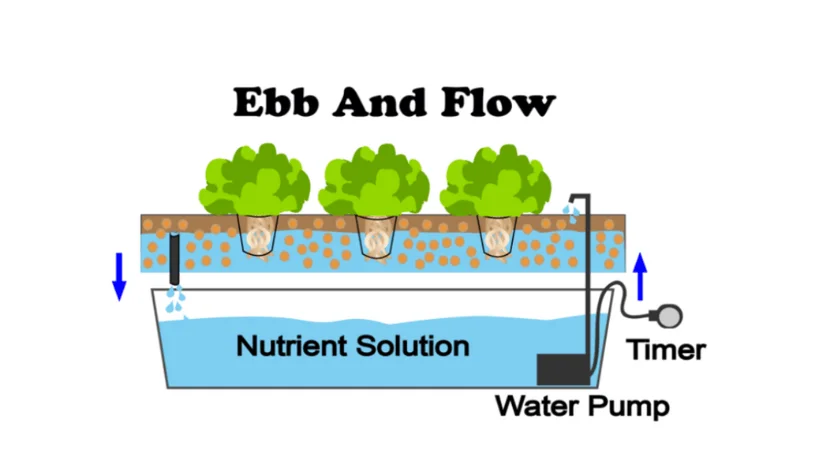 Ebb and Flow systems