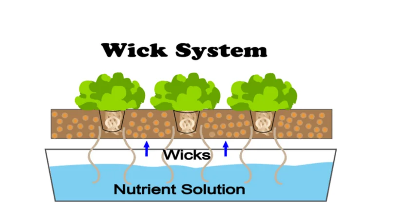 Wick system