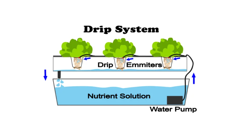 Drip System