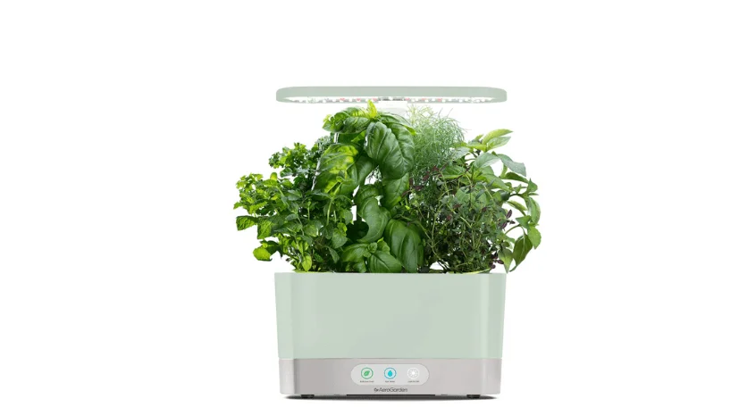 Aerogarden Hydroponic System