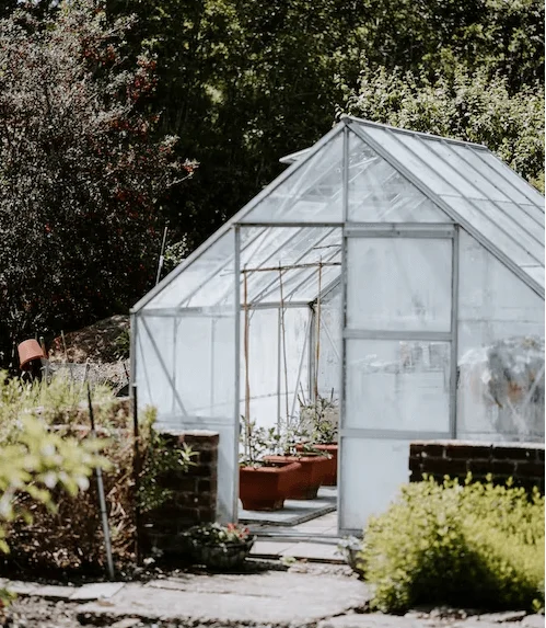 walk-in-greenhouse