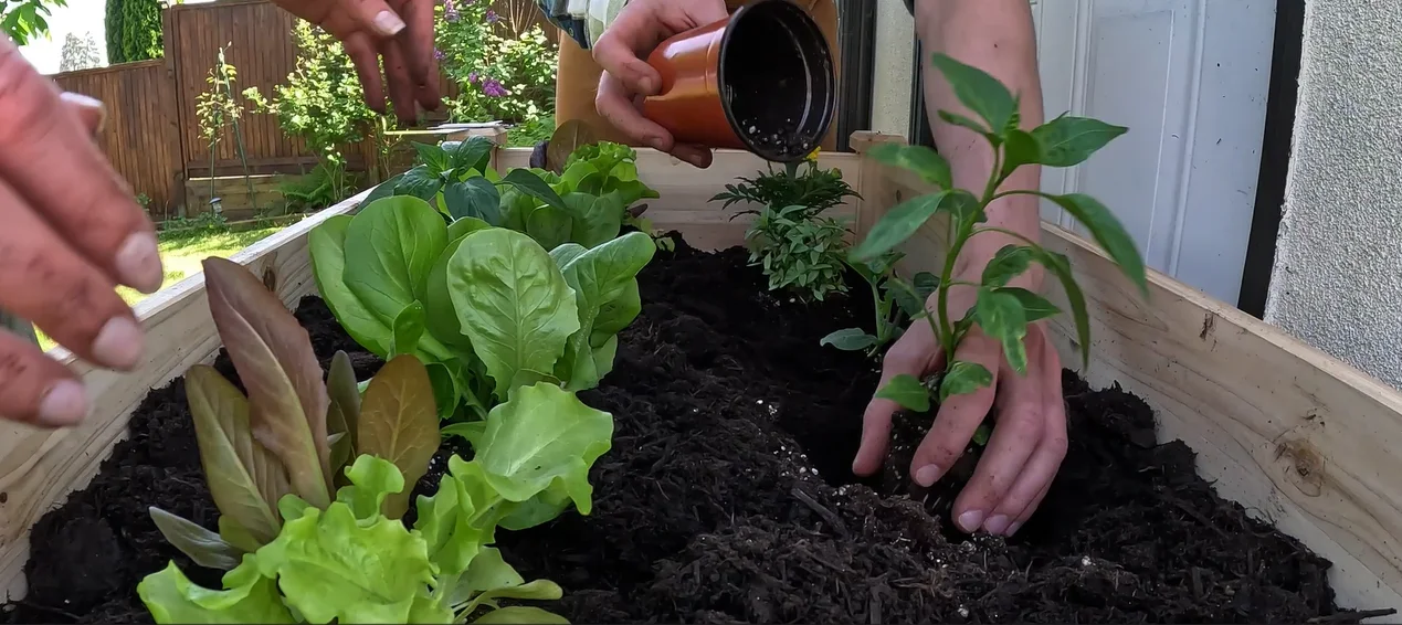 VEVOR raised garden planter