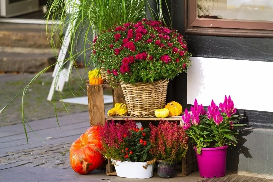 Decorative planters for yard