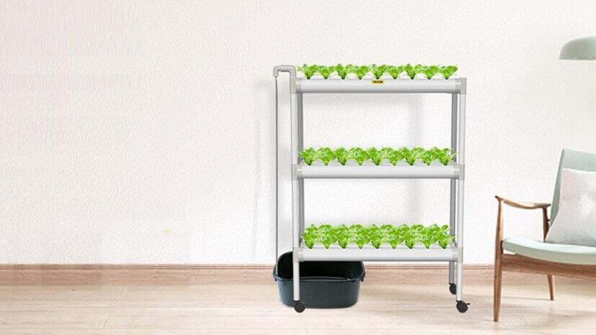 Ezorkas hydroponics store growing system