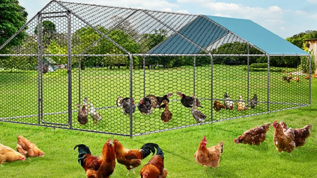 Decorate Your Chicken Coop VEVOR's Pro Design Guide VEVOR Blog