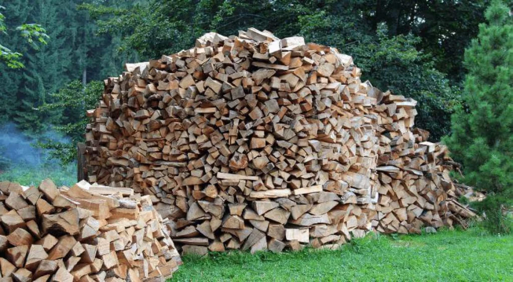 Maintain and Store Firewood Like a Pro for Winter Warmth