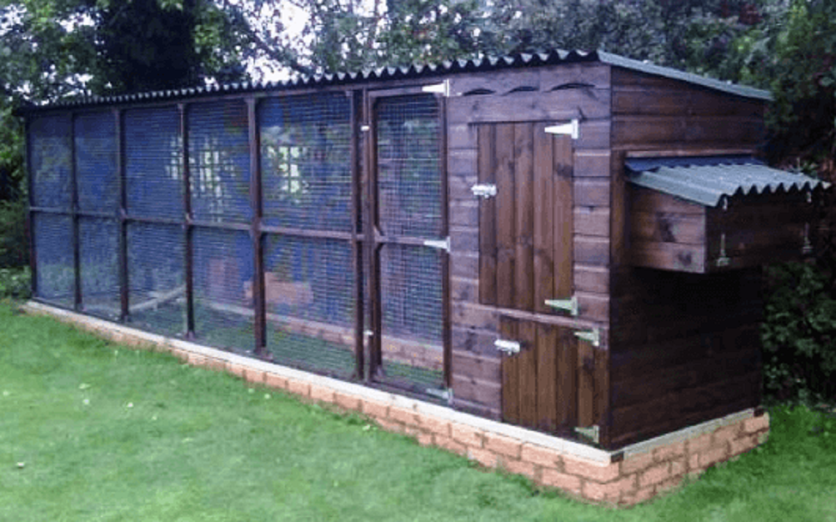 How Big Should A Chicken Coop Be For Happy Hens VEVOR Blog