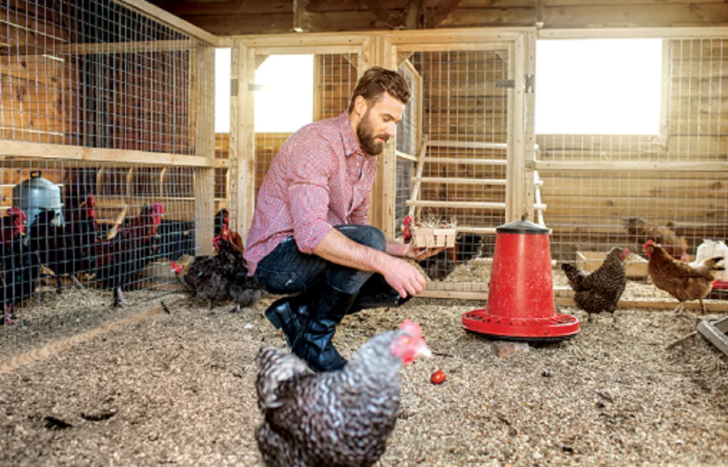 chicken coop cleaning Archives VEVOR Blog