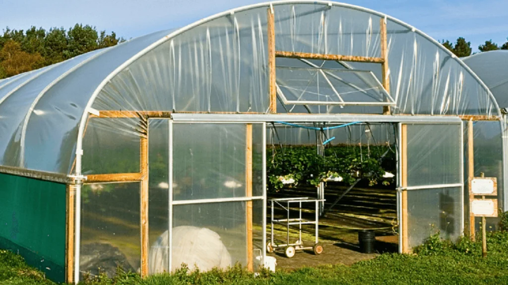 how to make a door frame for a polytunnel