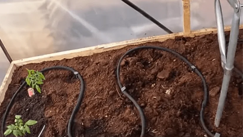 irrigation system DIY lines