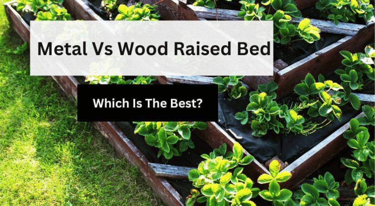 Metal vs. Wood Raised Garden Beds Which is the best? VEVOR Blog