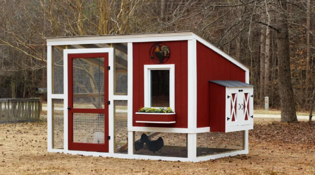 What Should Be Inside a Chicken Coop for Happy Hens