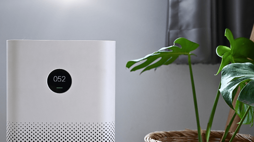 Air scrubber vs air purifier