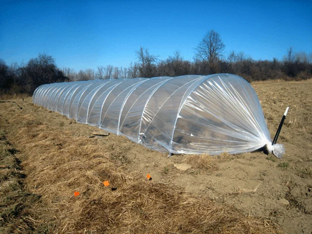 building a DIY high-tunnel greenhouse