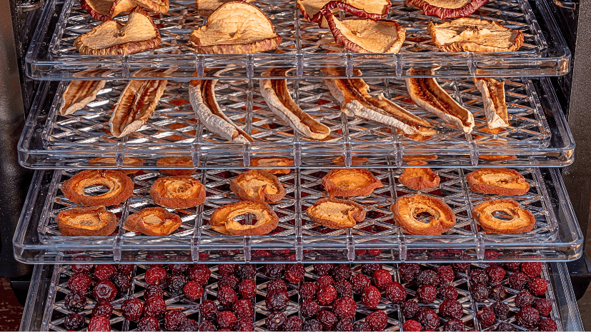 dehydrator electricity usage