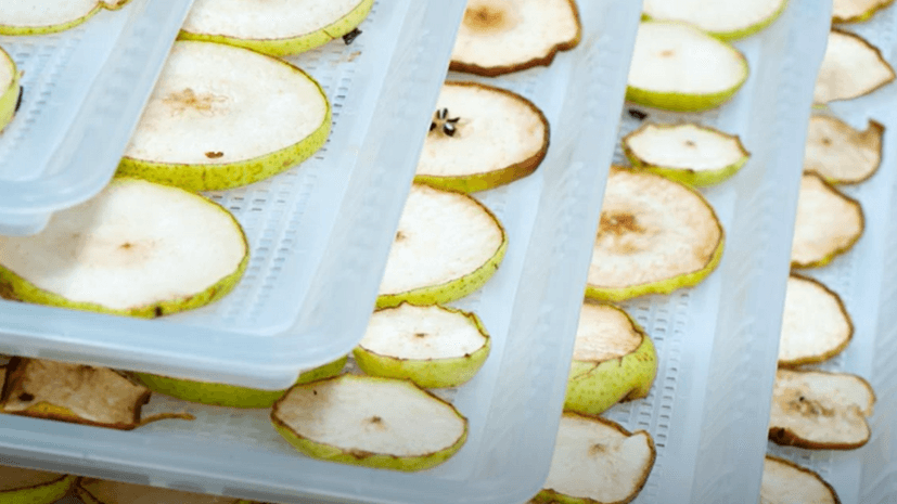 dehydrator vs oven basic differences