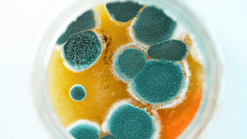 how air scrubbers work