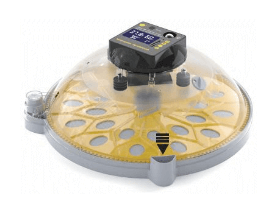 place machine host on top of the egg tray