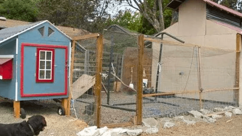 the American canyon coop