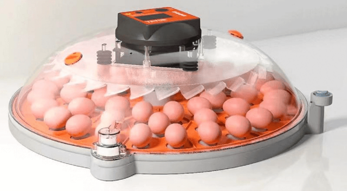 VEVOR Incubator User Manual with PDF VEVOR Blog