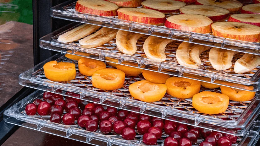 what to consider before buying a food dehydrator