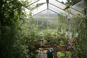 A greenhouse garden for plant growth