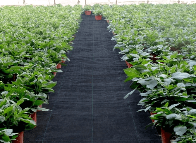 perforated landscape fabric