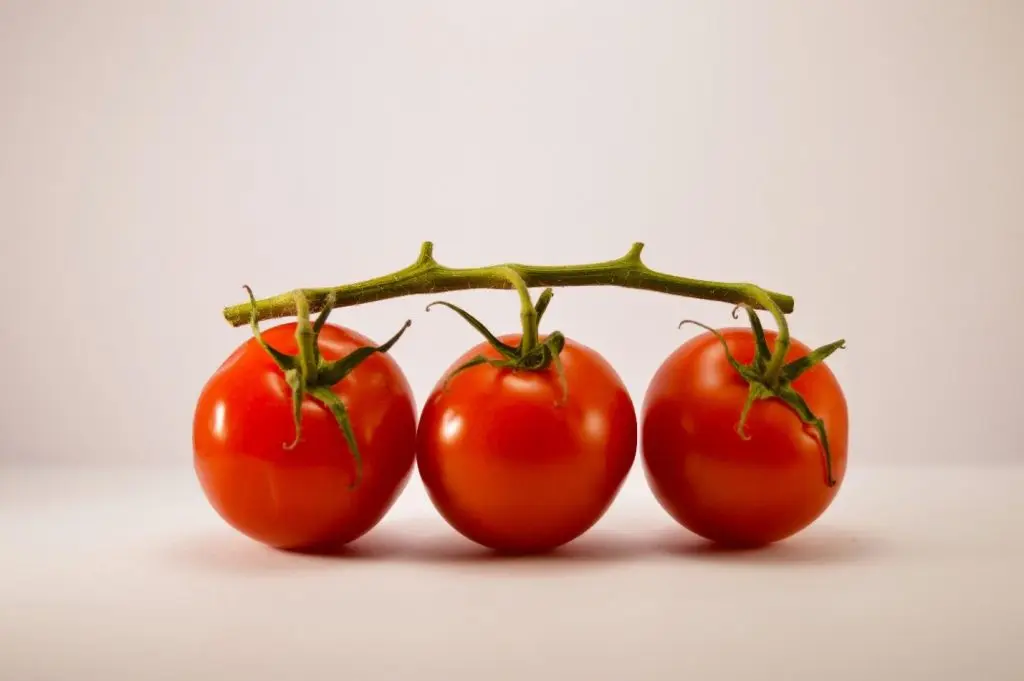 tomates selados a vácuo