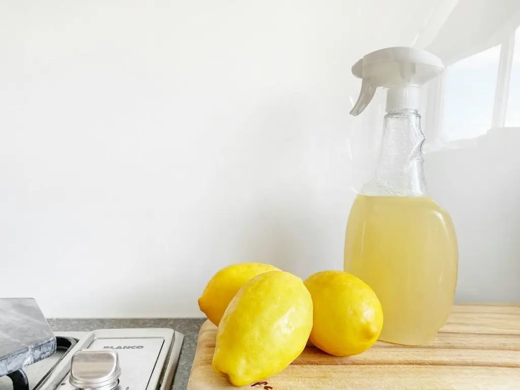 using vinegar to clean countertop ice maker