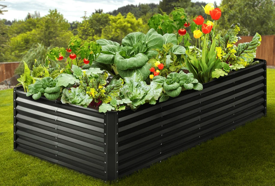 Choose the right raised garden bed