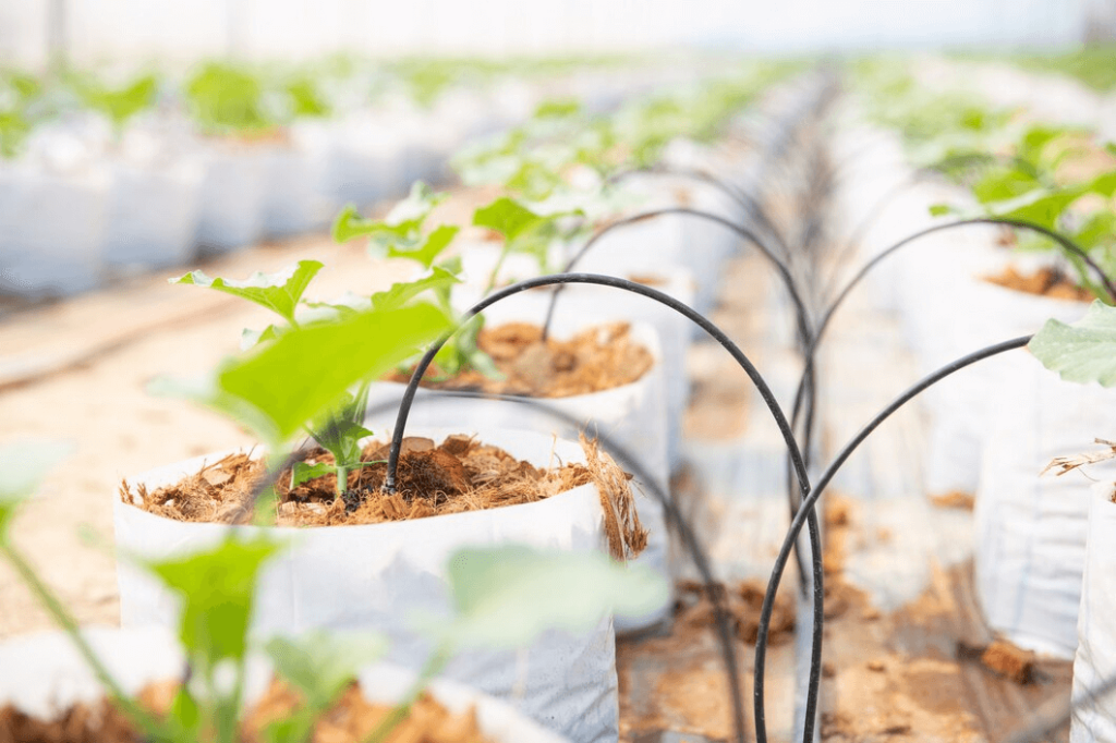 drip irrigation bed watering