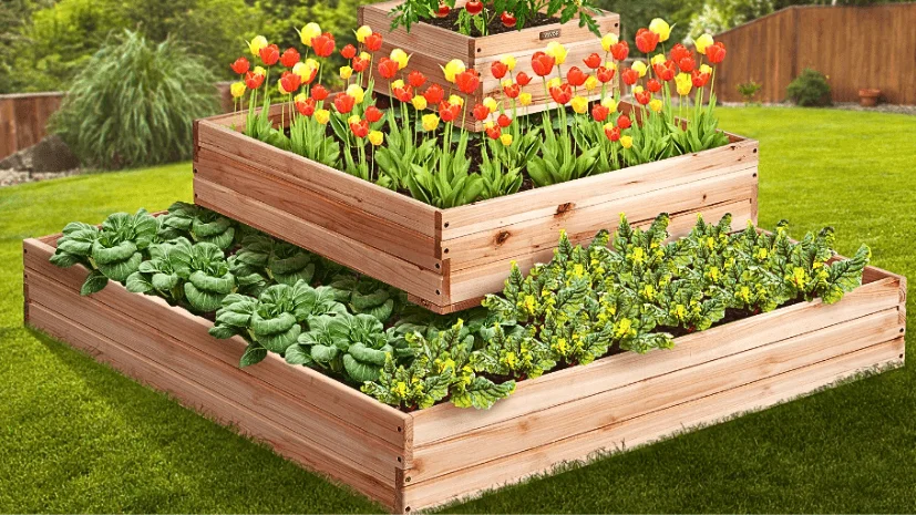 ideal wood for raised garden beds